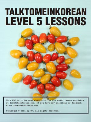 cover image of TalkToMeInKorean Level 5 lessons 